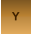 Y