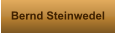 Bernd Steinwedel